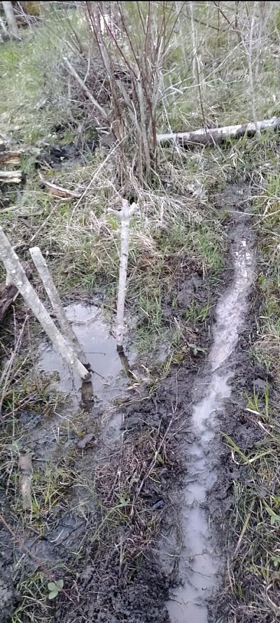 A dirsinage ditch