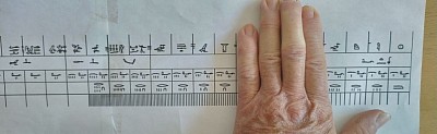 The Egyptian Royal Cubit with my hand indicating the digit measurement