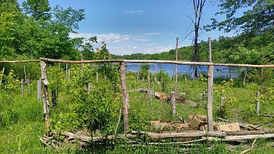 Stickhenge Gardens